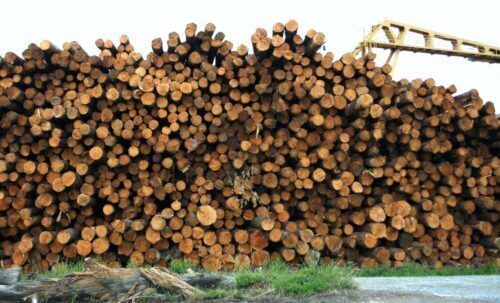 lumber_logs_wood_timber_pile_material_industry_cut 1148870