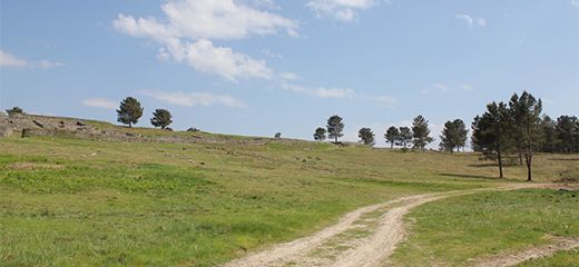 Entorno rural.