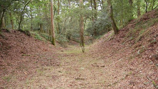 Foso da muralla de Cabreiros