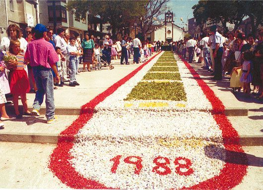 alfombra2