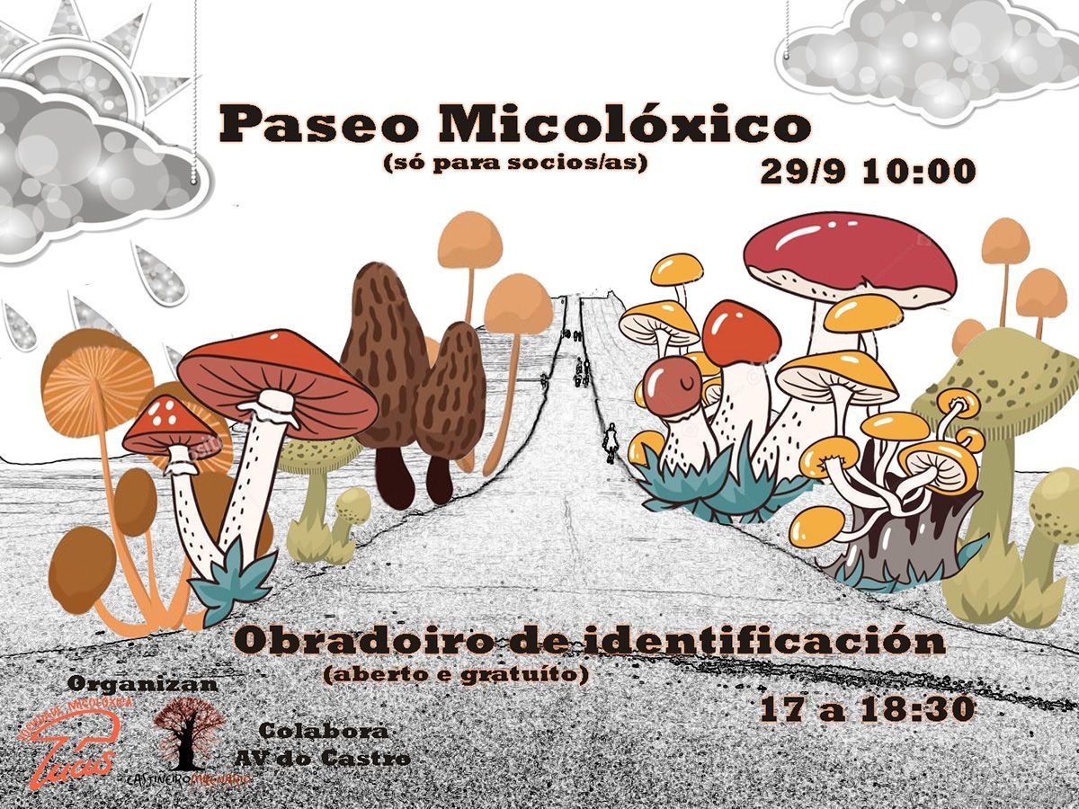 Paseo_micoloxic_2019_web