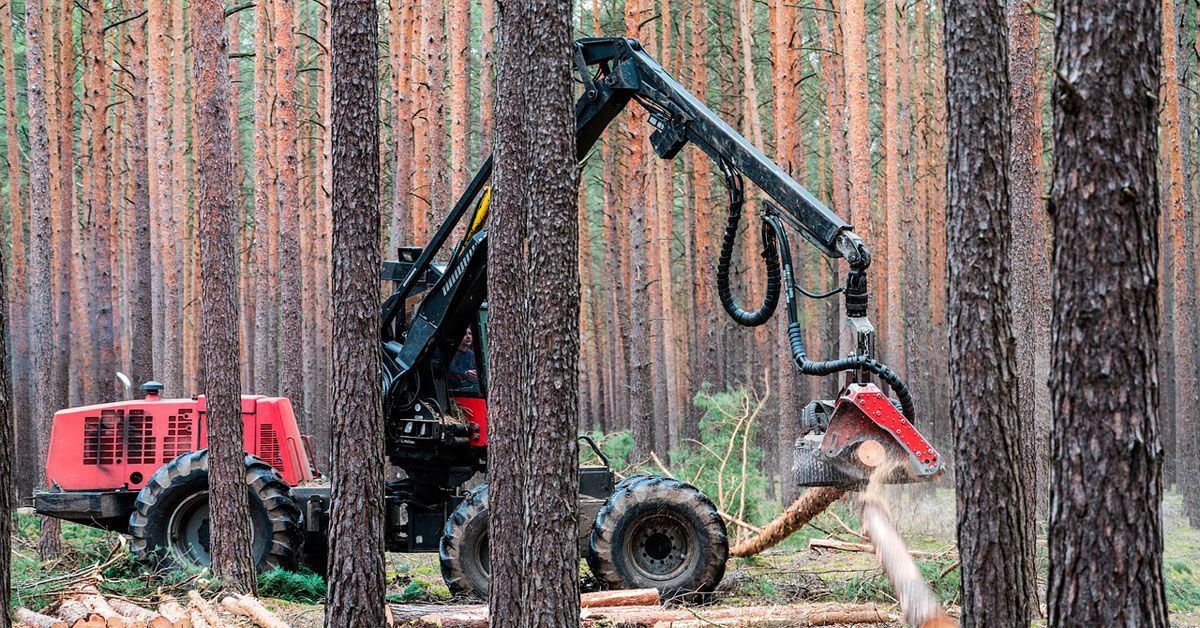 forestal maquina