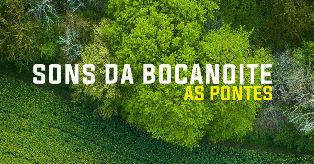 sonsa da bocanoite logo as pontes