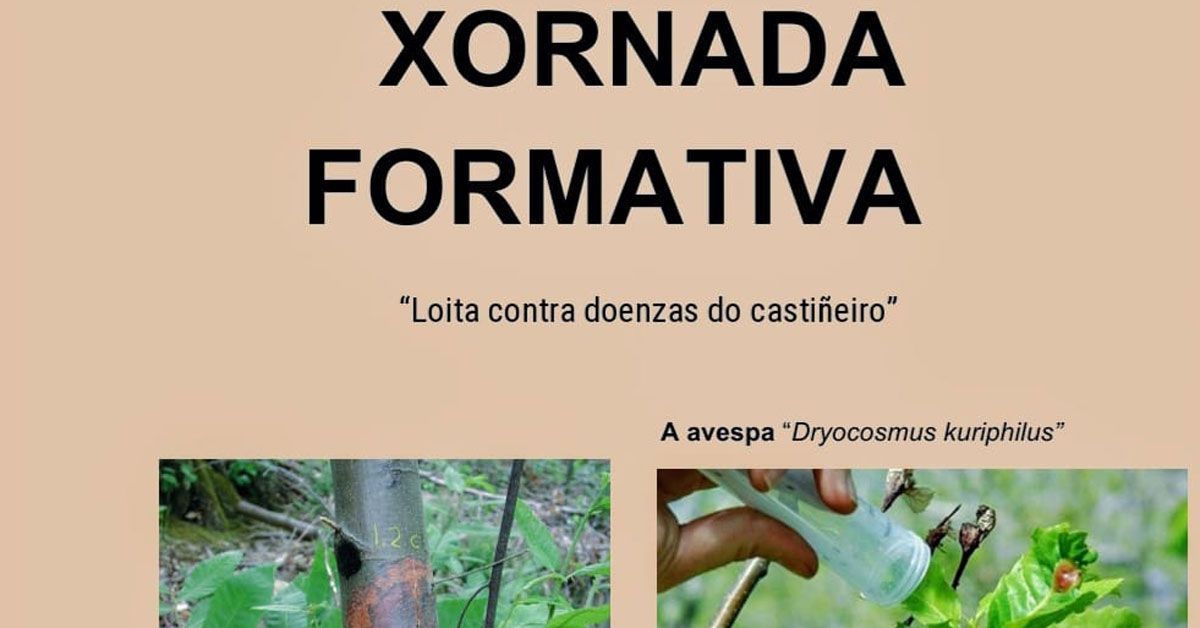 xornadas formativa castineiro pastoriza portada