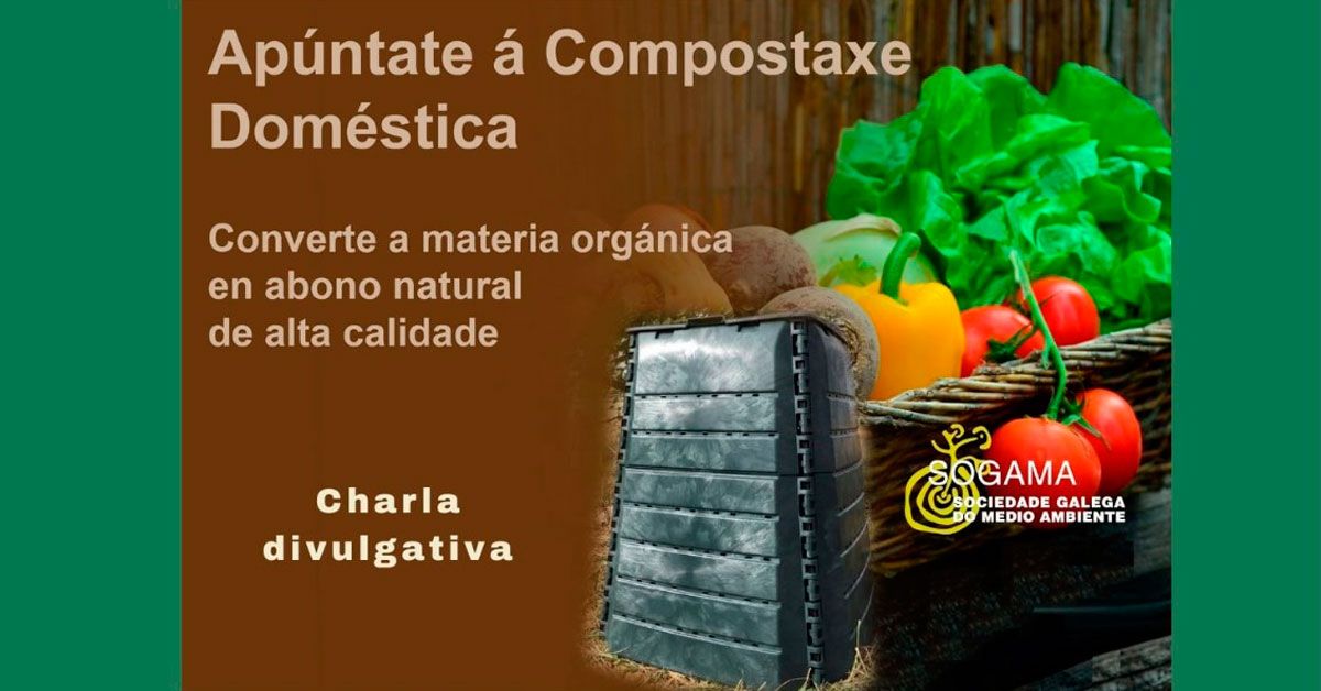 compostaxe castro de rei 1