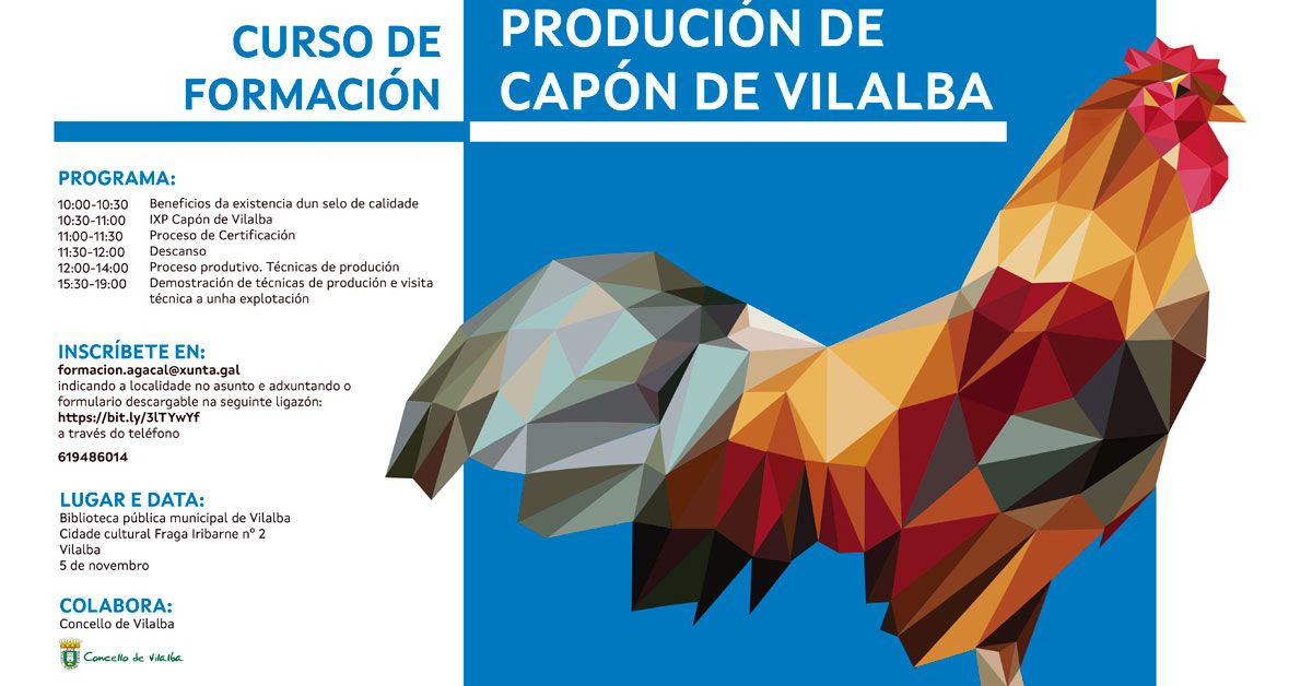 curso capon vilalba