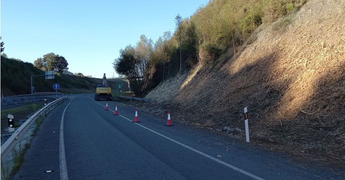 roza limpeza estrada lugo sarria