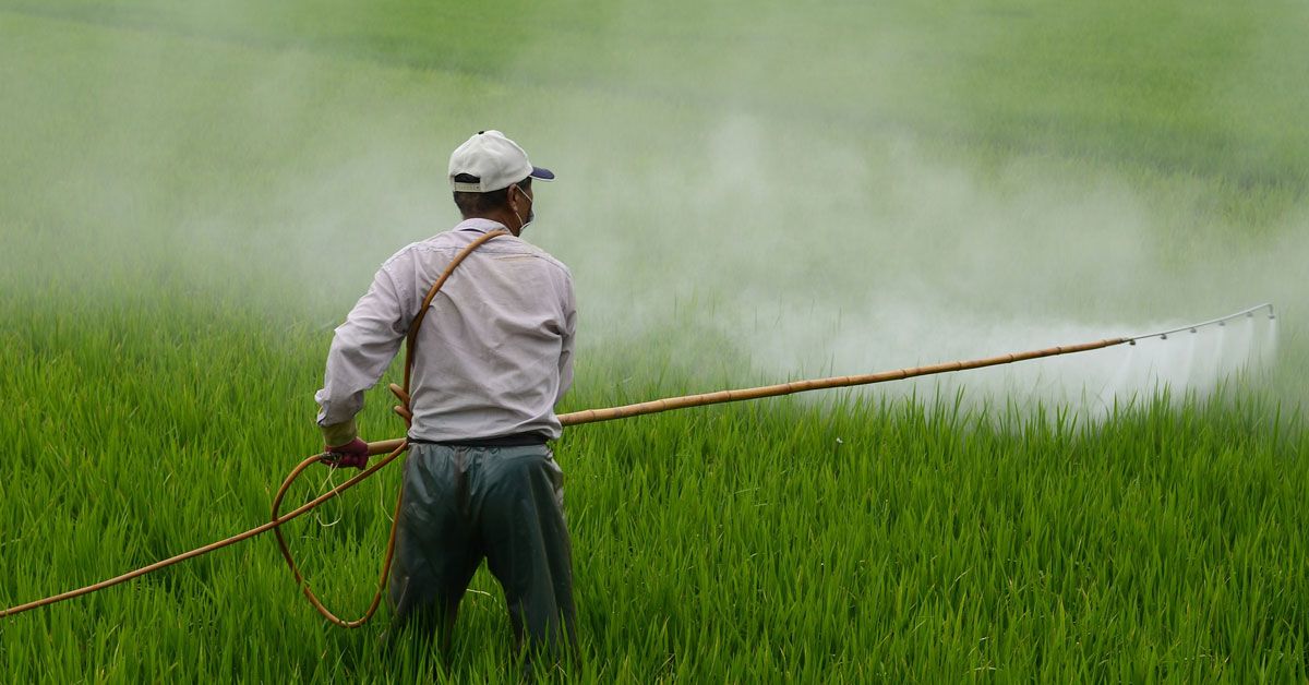 agricultura campo cultivo agricultor herba