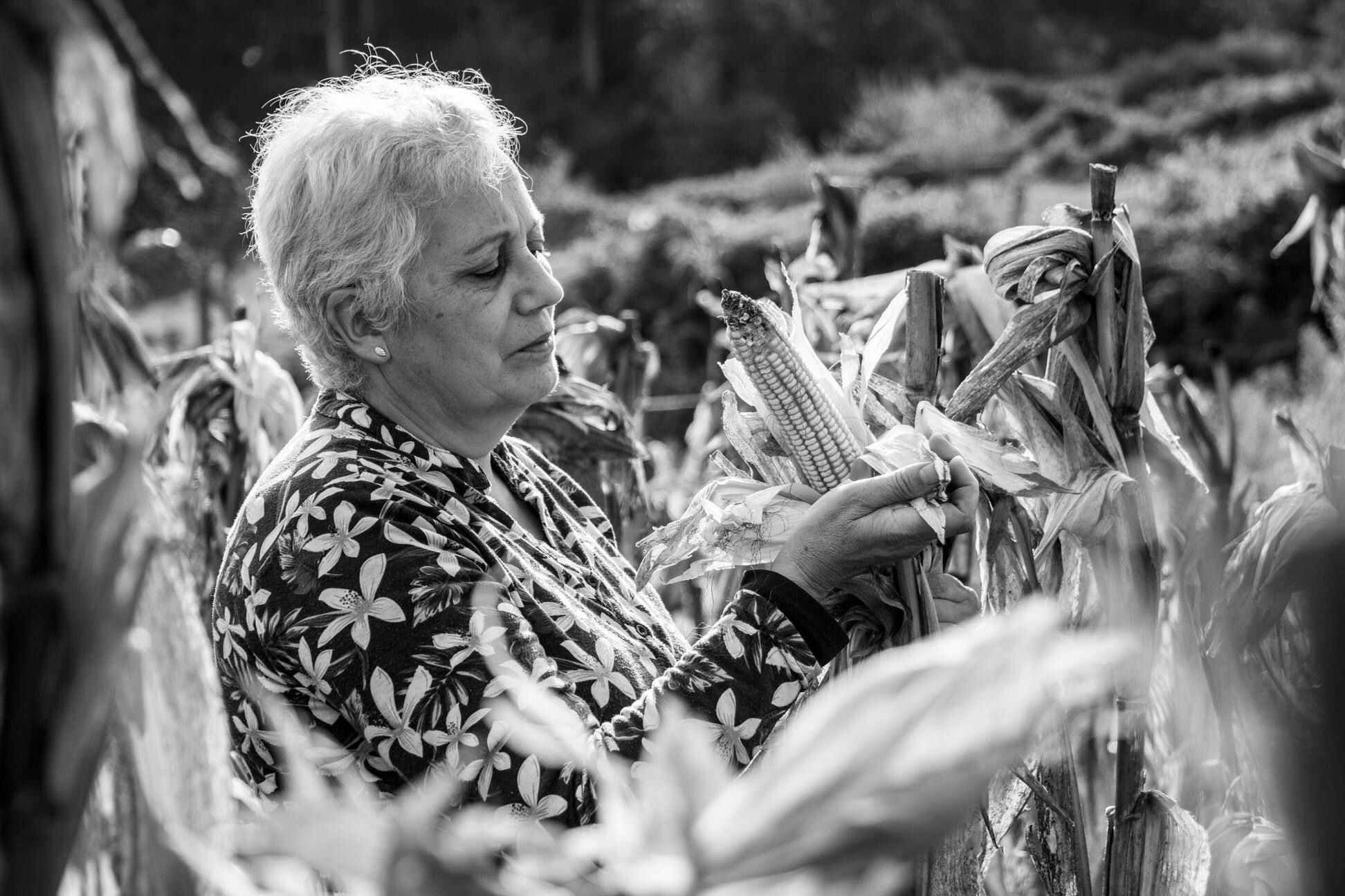 foto premio concurso cim viveiro3