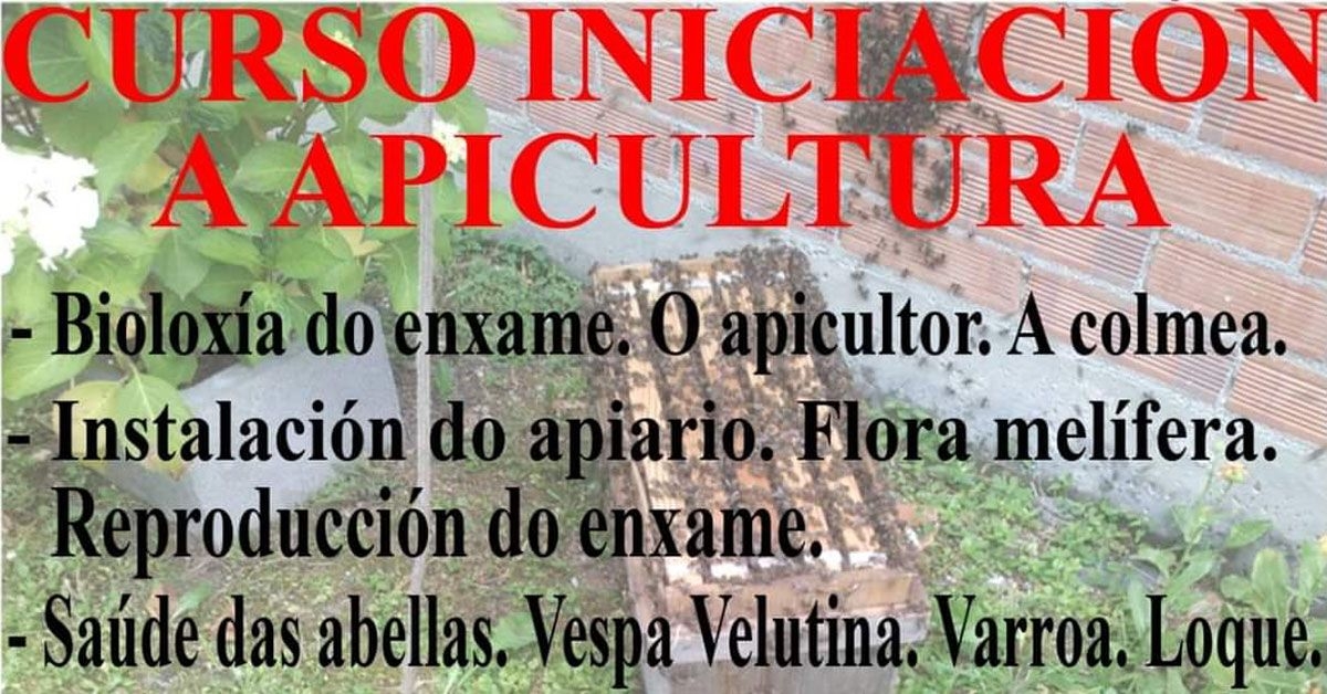 curso apicultura serra da carba vilalba portada