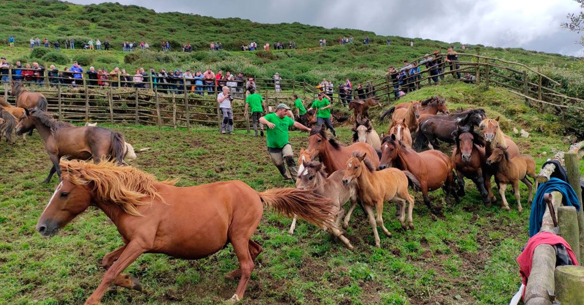 Rapa Campo do Oso 2022 (4)