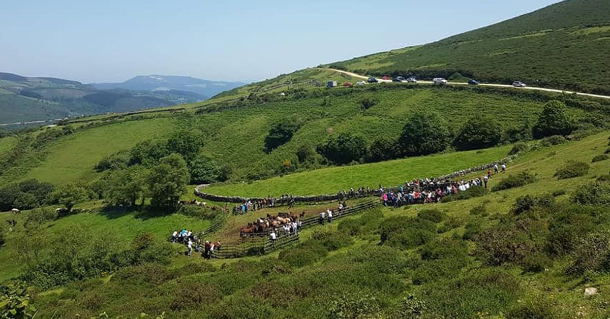 Rapa das Bestas de Campo do Oso 2022 1