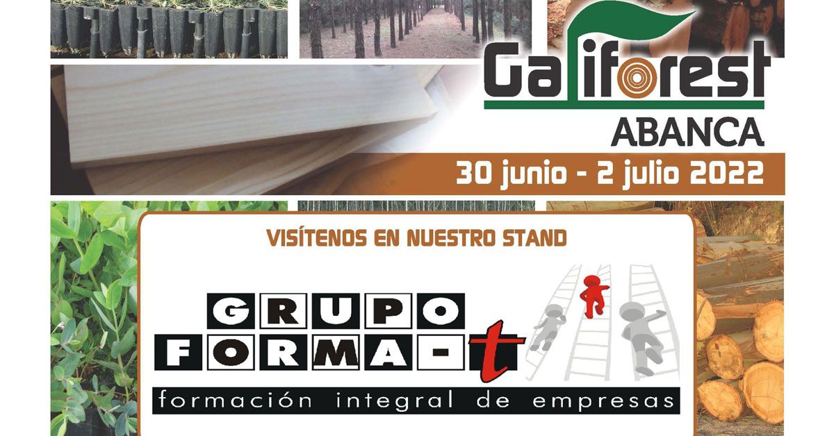 galiforest format vilalba portada