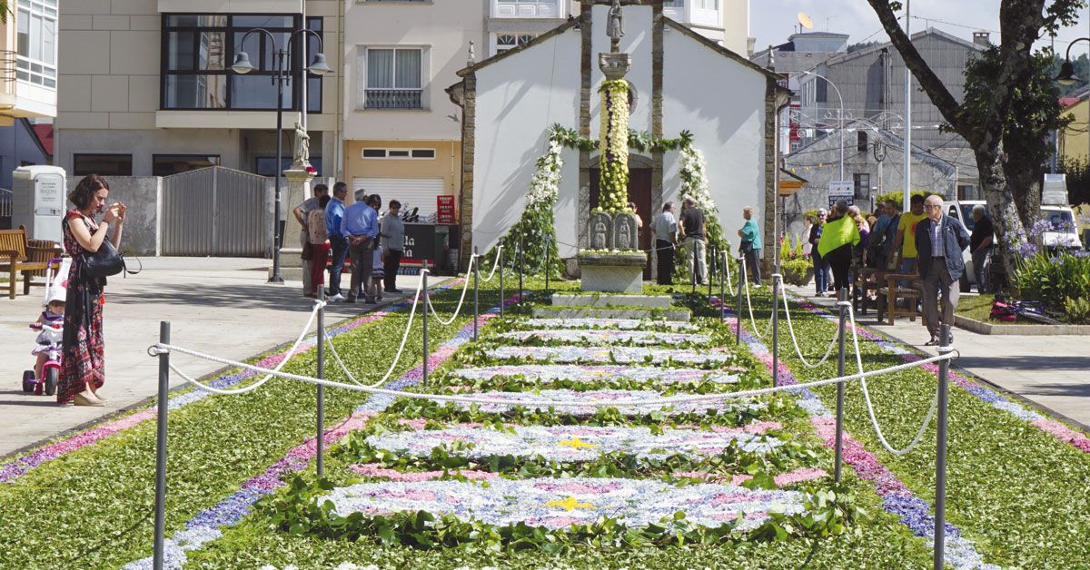 alfombra floral as pontes3