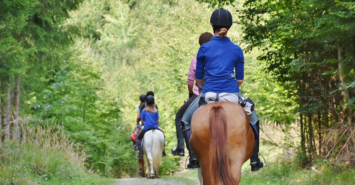 cabalo equitacion curso roteiro