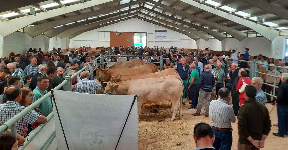 poxa xovencas pedrafita granxa gayoso