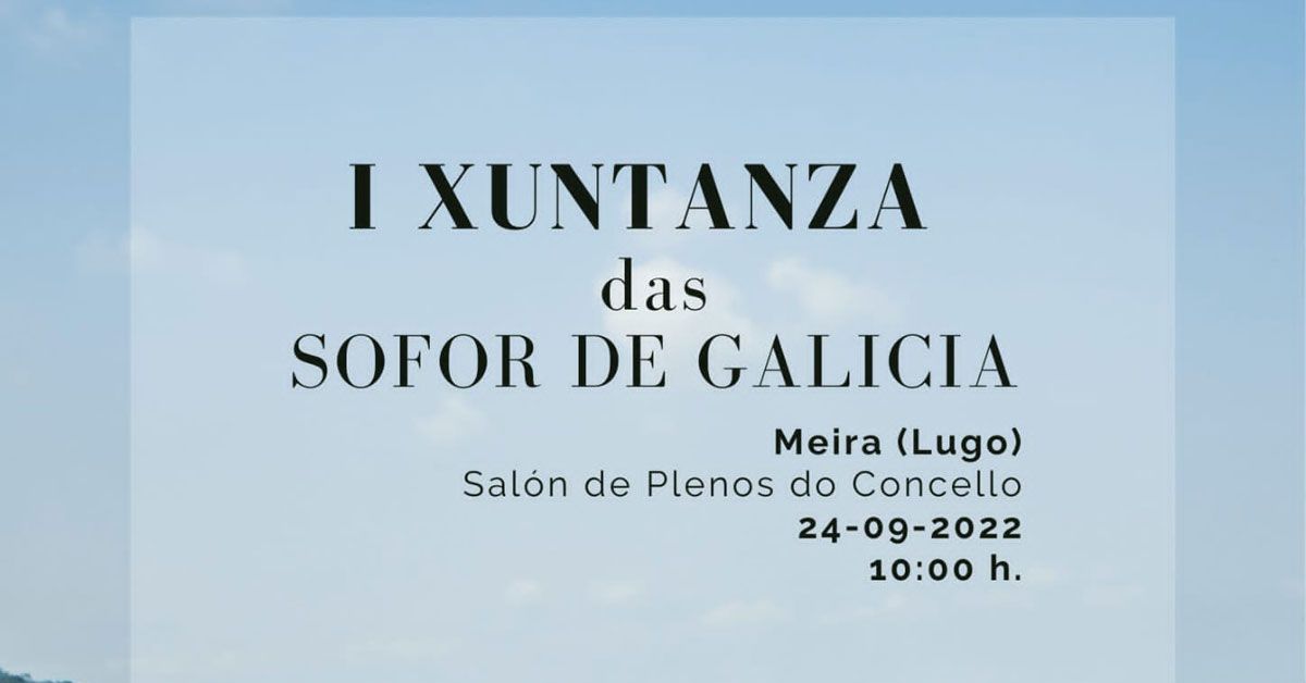 xuntanza sofor galicia en meira portada