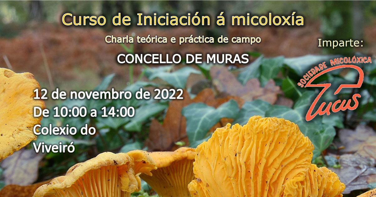 curso iniciacion a micoloxia portada