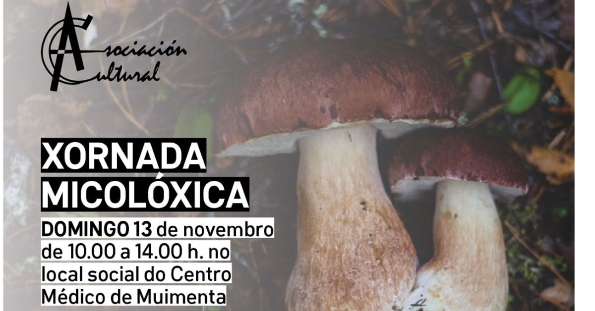 xornada micoloxica muimenta portada