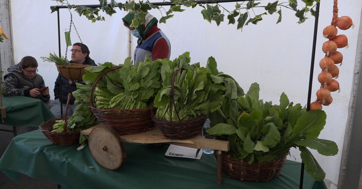 feira-do-grelo-as-pontes-20237