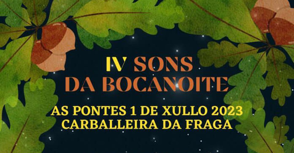 FESTIVAL SONS BOCANOITE AS PONTES PORTADA