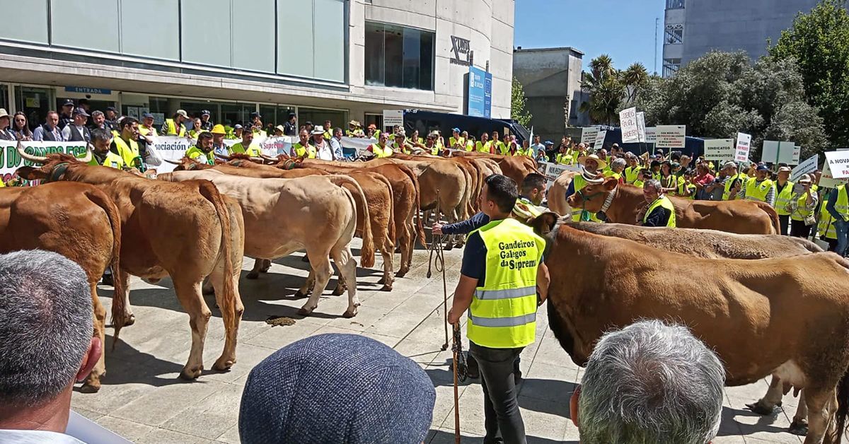 Gandeiros protesta