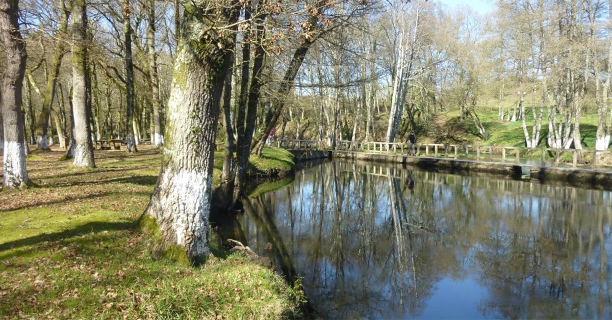 Ruta Pastoriza augas Fonmiña praia baltar