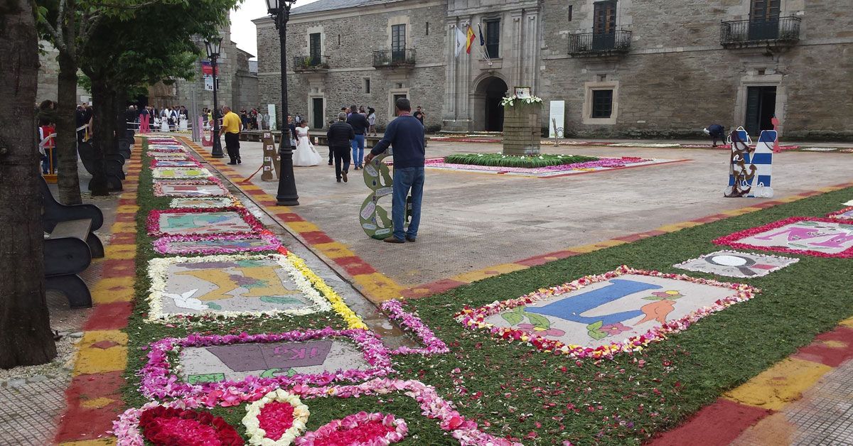 alfombras florais meira