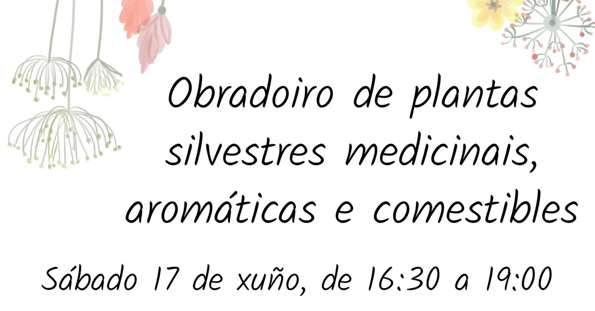 obradoiro plantas medicinais casa das insuas