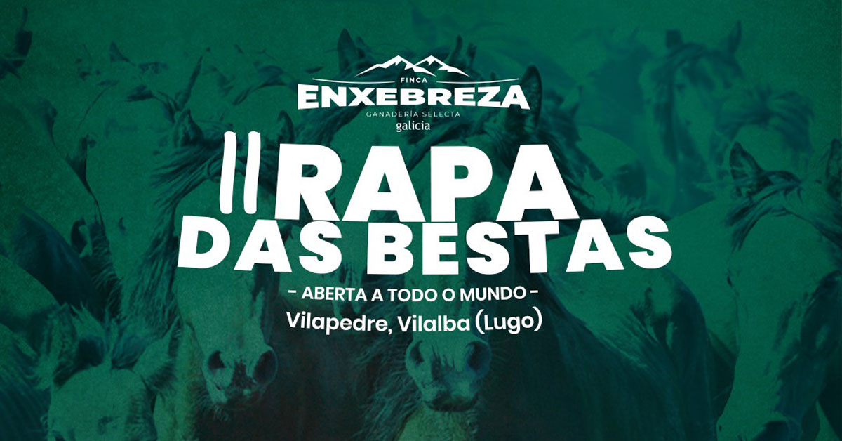 rapa-das-bestas-vilalba-enxebreza-portada