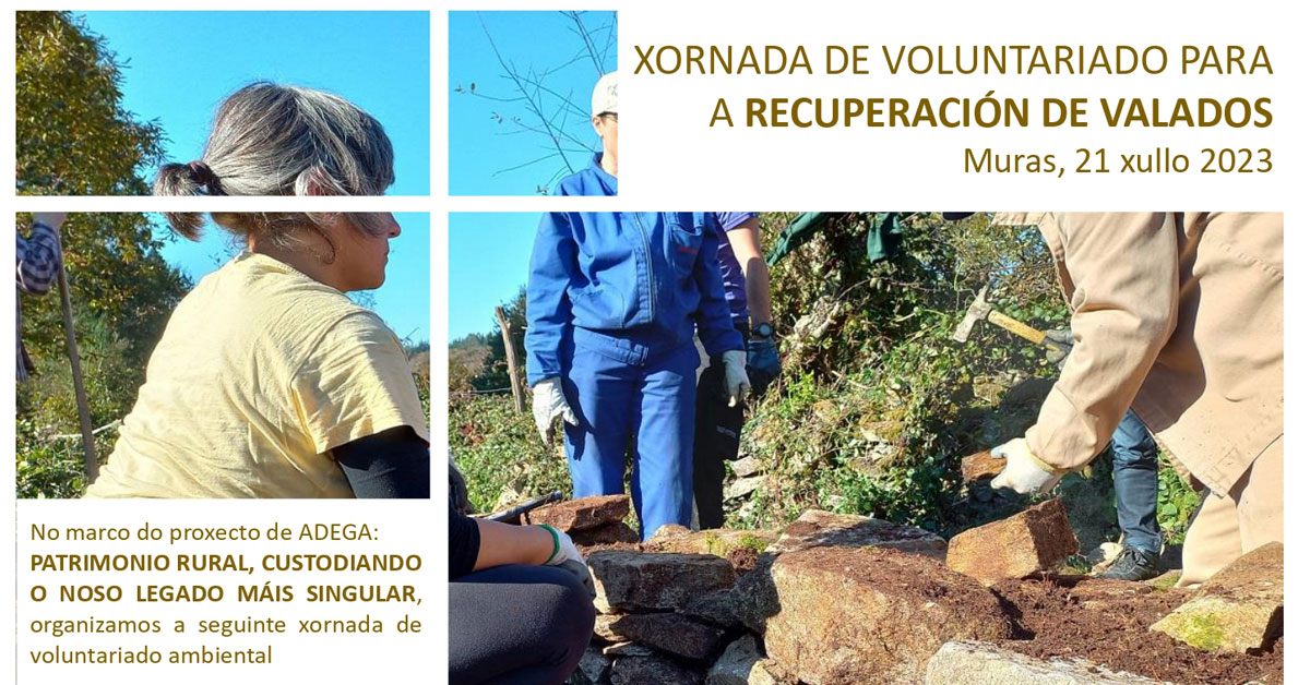 restauracion muros pedra muras adega