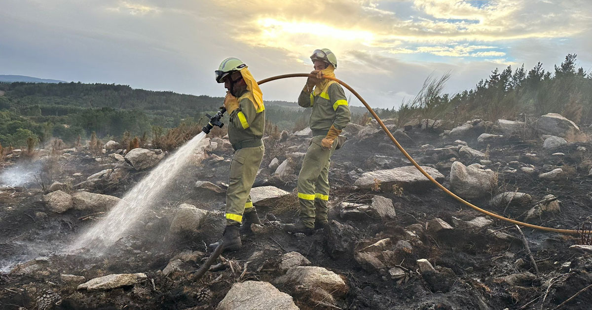 brigada forestal lume bosque incendio bombeiros