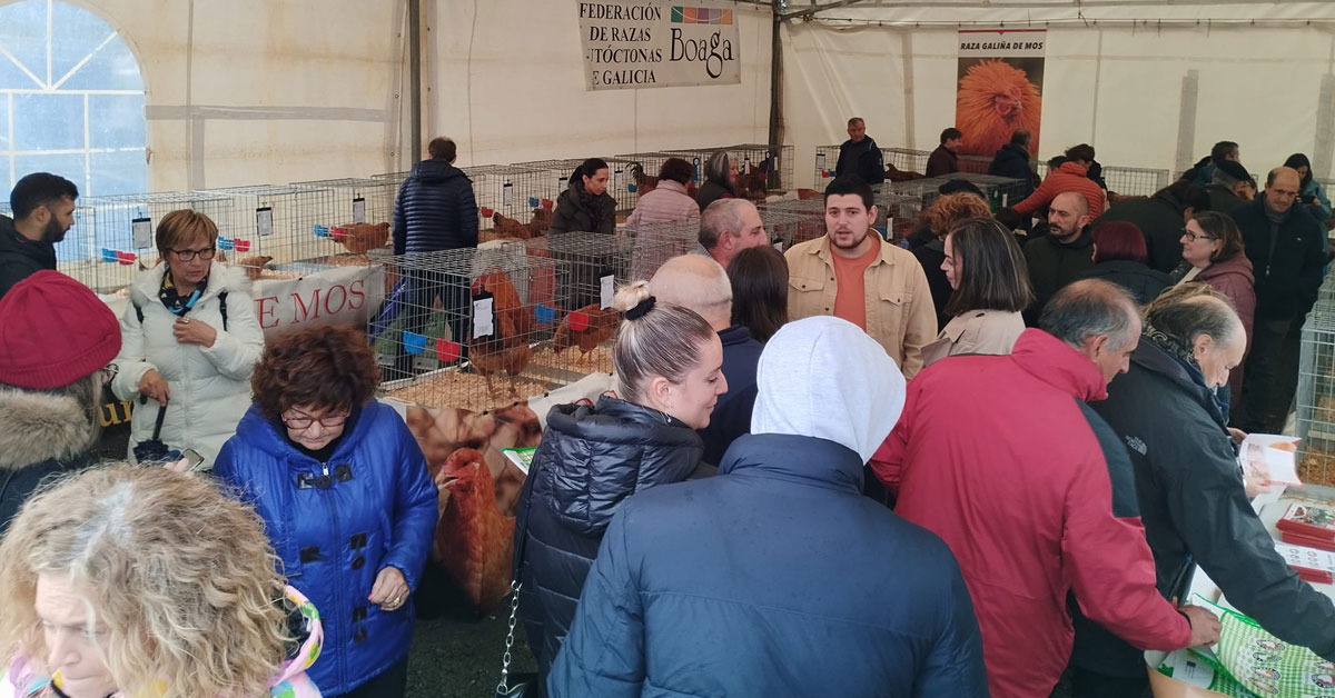 feira-galina-de-mos7