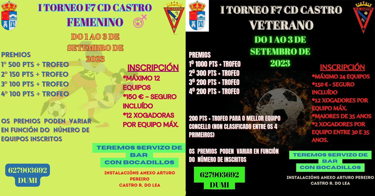 futbol sala torneo castro