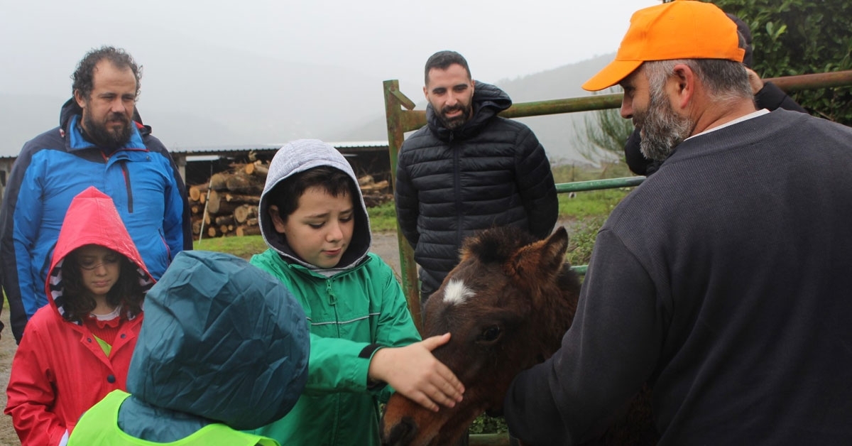 visita gandaria pontenova ceip terra cha