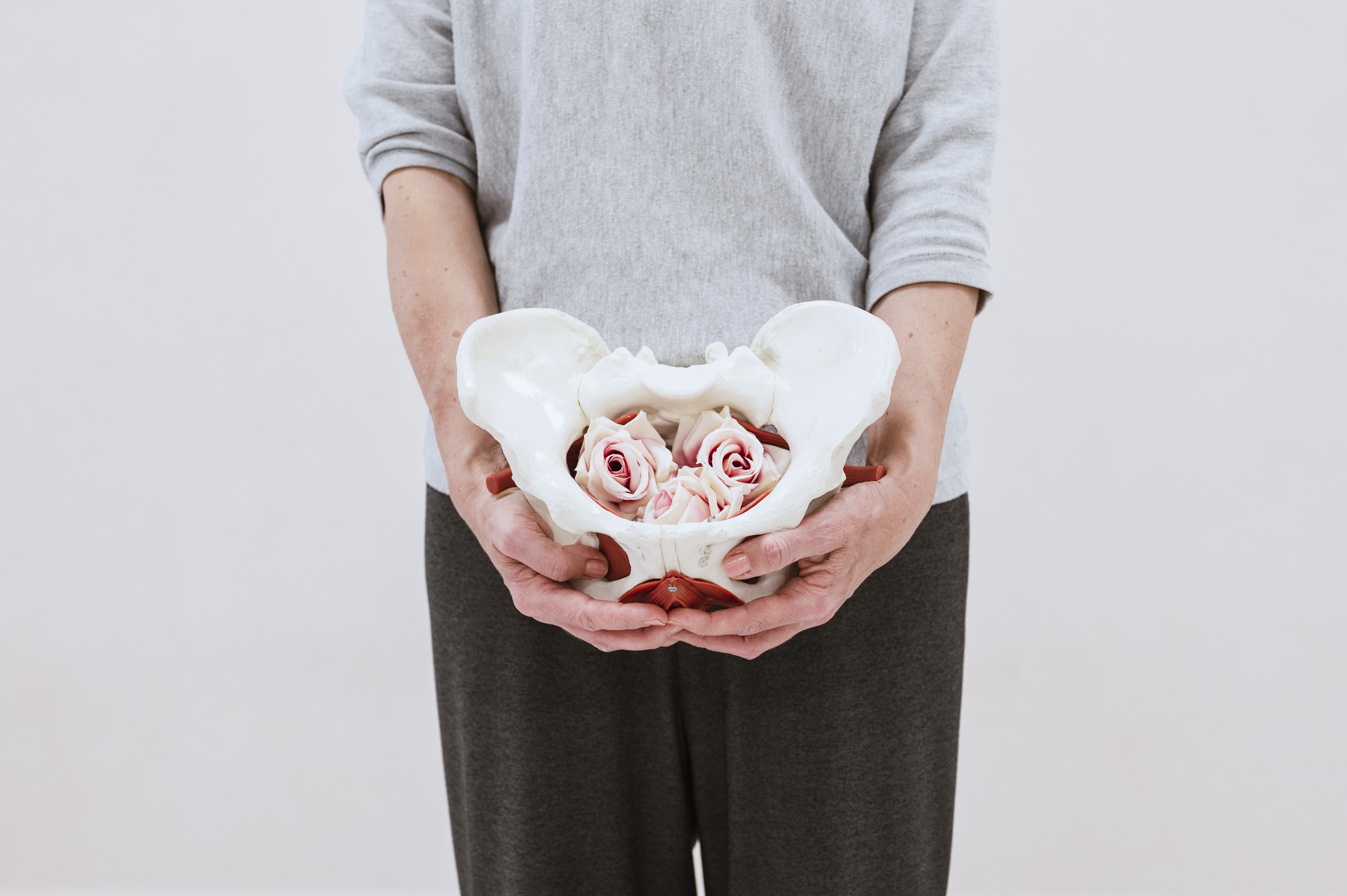 Suelo pelvico solo pelviano 58MB 5000x3000 px