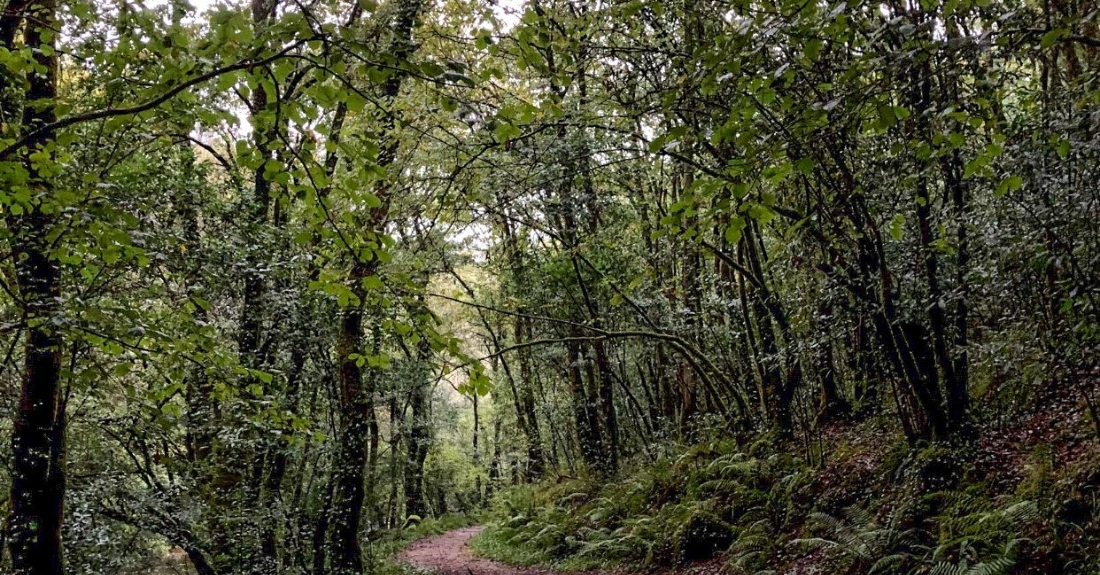 Imaxe da ruta de sendeirismo por Chelo