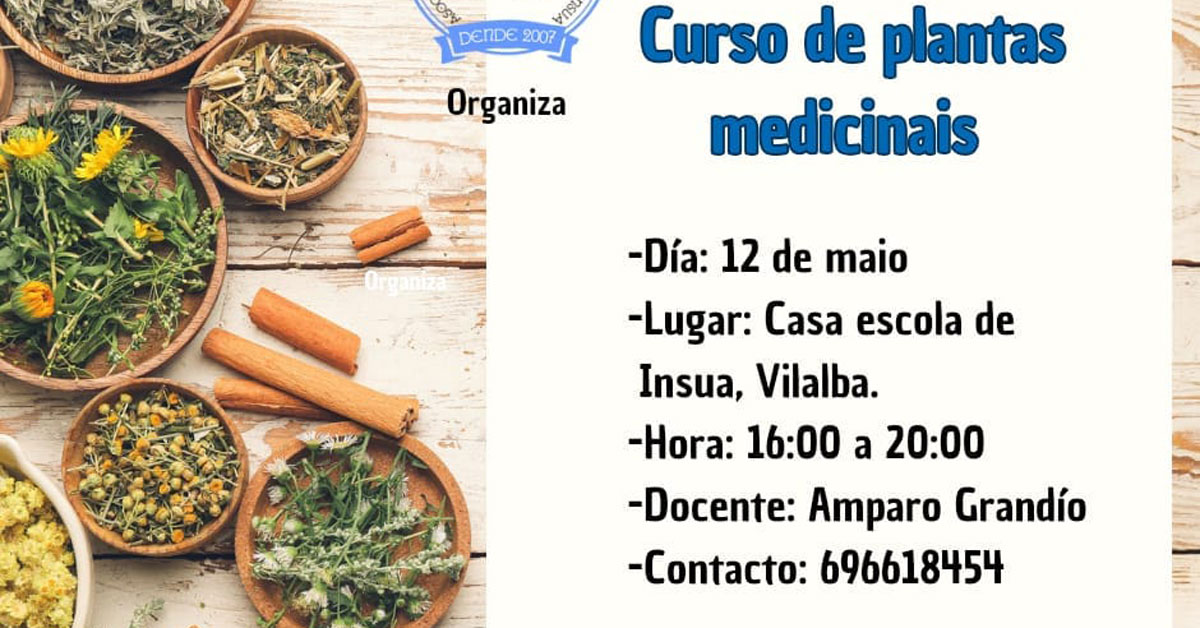 obradoiro plantas medicinais insua portada