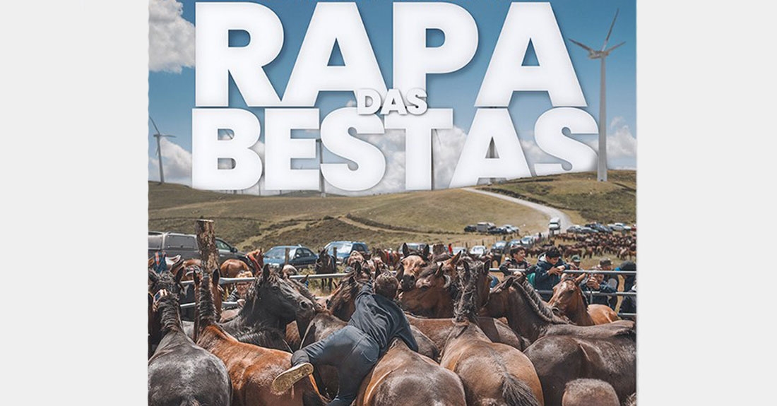 rapa-das-bestas-vilapedre