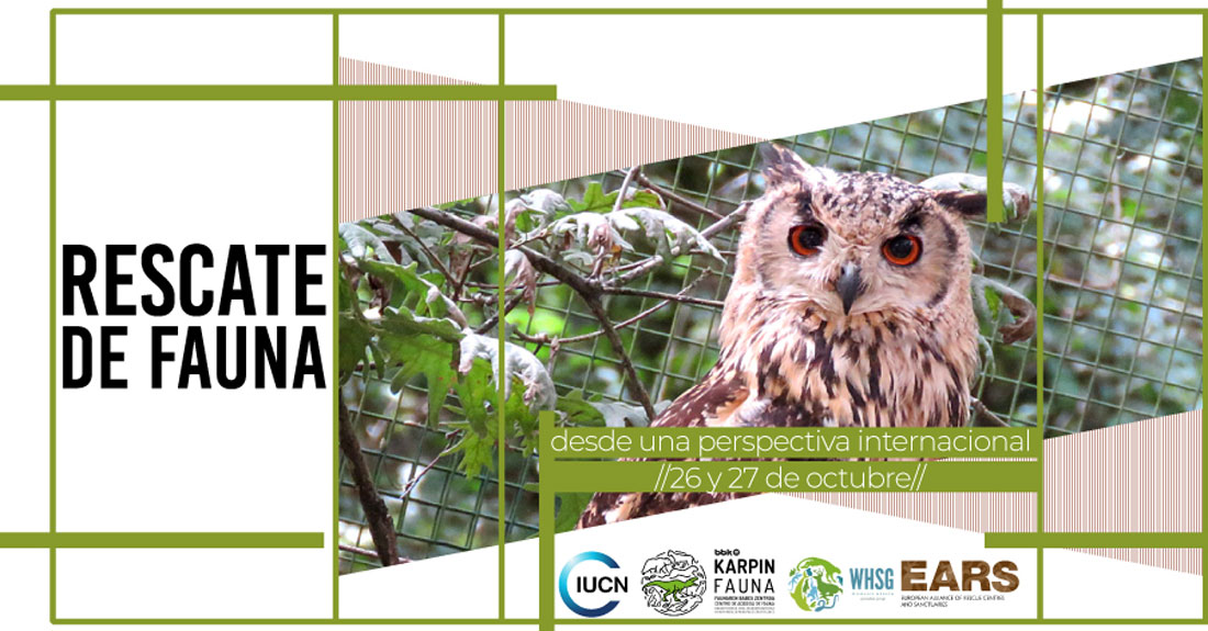 curso-rescate-fauna-salvaxe-marcelle