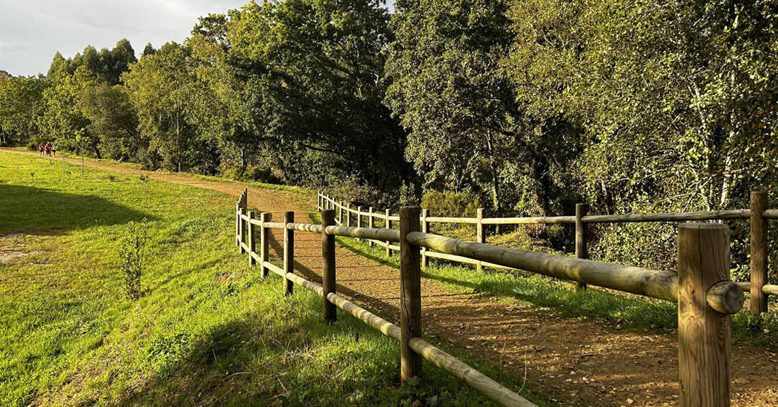 senda-da-calvo-sotelo-as-pontes3