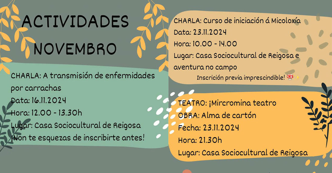 actividades-novembro-reigosa