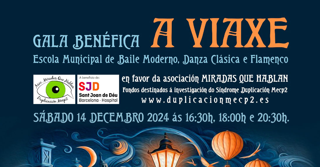 gala-benefica-as-pontes