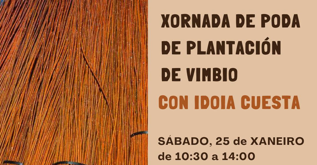 xornada-vimbio-casa-das-insuas-rabade