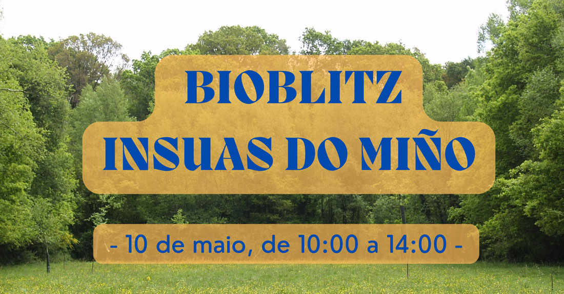 Bioblitz-das-Insuas