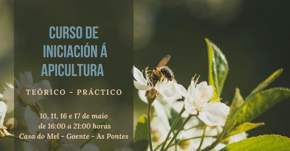 curso-apicultura-casa-do-mel