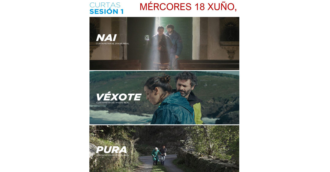 curtas-mestre-mateo-2025