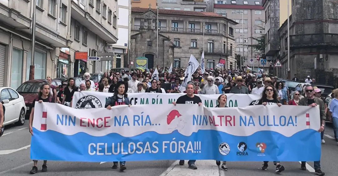 manifestacion-pontevedra-altri-ence