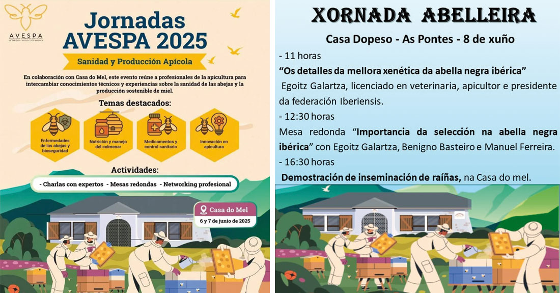 xornadas-abelleiras-goente