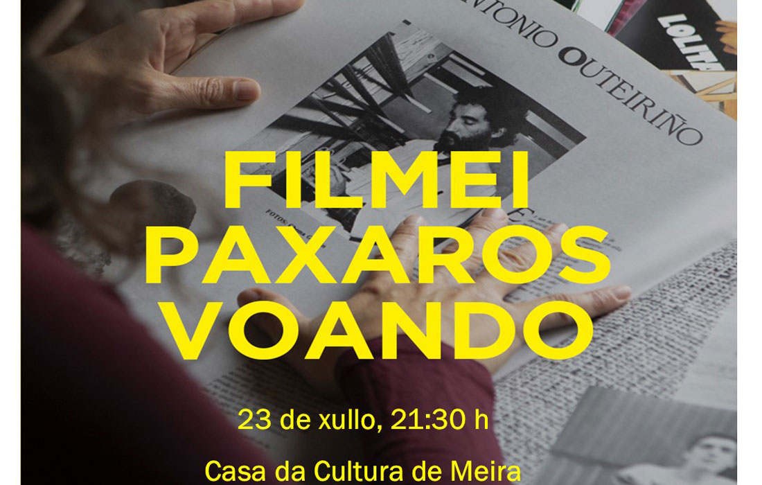 filmei-paxaros-voando